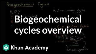 Biogeochemical cycles  Ecology  Khan Academy [upl. by Sergu]