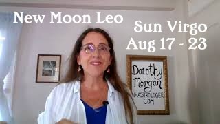 Alignment with New Moon Leo  Sun in Virgo Astrology [upl. by Amabil]