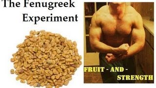 My Anabolic Strength Fenugreek Experiment Results [upl. by Ahcilef]