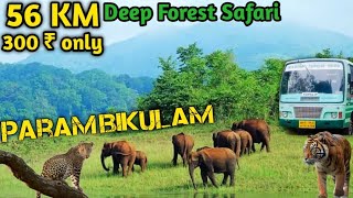 56கிமீ காட்டுக்குள்safari parambikulam Safari forest wildlife leopard elephant safari kerala [upl. by Angadresma]