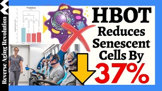 Hyperbaric Oxygen Therapy REDUCES Senescent Cells 37 amp INCREASES Telomere Length 29 [upl. by Zielsdorf]