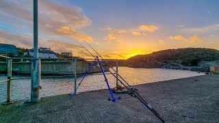 48hr Fishing Challenge  EP4  Conger fishing at Amlwch [upl. by Nagram]