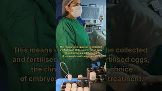 IVF Egg Retrieval Procedure IVF treatment for pregnancy by Dr Rakshita Malik doctor mbbs medical [upl. by Eerrehs]