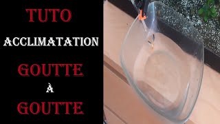 TUTO Acclimatation goutte a goutte [upl. by Cymbre]