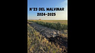 Preparación del Nº23 del Malvinar SUECA [upl. by Ajin701]