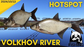 Bream Hotspot Volkhov River Russian Fishing 4 [upl. by Ewnihc]