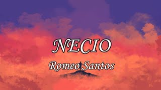 Romeo Santos  Necio Letra [upl. by Sedberry630]