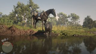 Nightwalker Panther RDR 2 2 Sedate Red Dead Online Legendary Animal Red Dead Online [upl. by Eile]