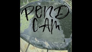 Pond Cam Live [upl. by Tteirrah543]