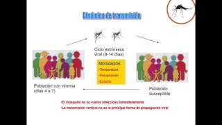 Conferencia Dengue [upl. by Veal]