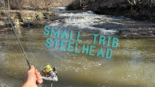 Casting JIGS for Steelhead inLake Erie Tributaries [upl. by Fitzhugh]