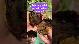 Sapote fruit fruit food mango buah [upl. by Atalanta]