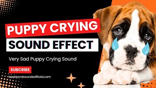 Puppy Crying Sound Effect  Beats and Sounds Official [upl. by Albric]