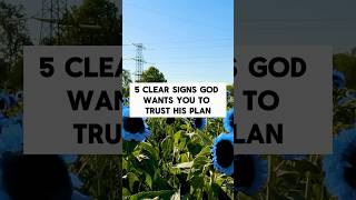 5 clear signs god wants you to trust his plan shorts [upl. by Abbe]