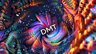 Why DMT Is The Next Crypto Narrative MANIA  Nonarbitrary Era on Bitcoin EXPLAINED [upl. by Aivek]