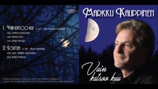 Markku Kauppinen  Joutsen Singleversio  2016 [upl. by Mira]