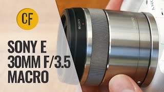 Sony E 30mm f35 Macro lens review with samples [upl. by Ginsburg]