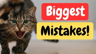 Top 20 Mistakes Cat Owners Make  Are You Guilty 😼 [upl. by Ahtekahs]