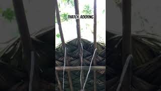 Thatch Roofing process [upl. by Elleraj]