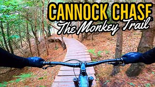 Riding The Monkey Trail Cannock Chase [upl. by Alimrahs]