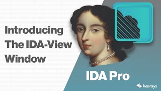 Introducing the IDAView Window [upl. by Wendall]