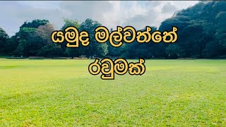 Vlog in Peradeniya Botanical Garden [upl. by Yecnuahc]