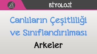 Canlılar Dünyası  Arkeler [upl. by Buatti]