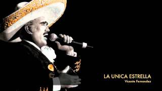 Vicente Fernandez  La Unica Estrella [upl. by Trbor]