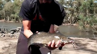 Fishing mawson lakes amp Wynn vale dam [upl. by Reames997]