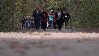 Fitmarsch und Lauf in Himberg [upl. by Odraner]