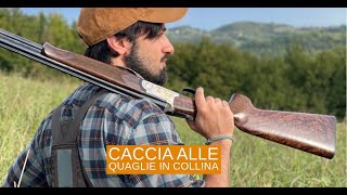 Giorni di caccia quaglie in collina [upl. by Voletta]