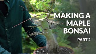 Making a Maple Bonsai [upl. by Attenehs]