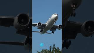 BOEING 777 LANDING [upl. by Roberto]