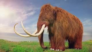 How Did Mammoths Go Extinct [upl. by Maillliw]