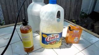 How to DIY Organic InsecticideFungicide recipe [upl. by Moria]