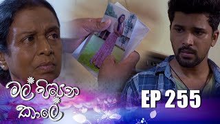 Mal Pipena Kale  Episode 255 26th September 2022 [upl. by Danby]