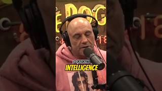 Joe Rogan San Soder Woke Google’s AI Gemini shorts [upl. by Kinny]