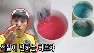 색깔이 변하는 허브차 전설의 블루멜로우를 마셔보았다  허팝 Blue Mallow Tea [upl. by Yazbak]