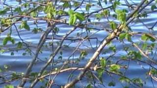 Wasserimpressionen 11 Chillout Entspannung Meditation Musik Music [upl. by Aenehs]