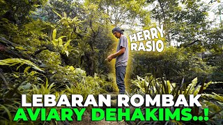 LEBARAN BERSAMA CAK HERRY RASIO TRIMMING AVIARY [upl. by Dorolisa]