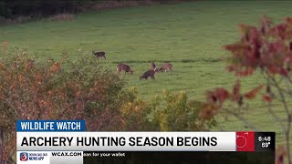 Wildlife Watch Vermont deer archery season underway [upl. by Leibarg]