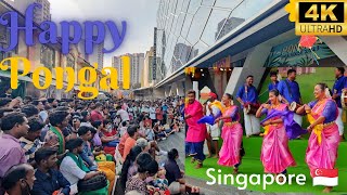 Singapore Pongal festival 2023  Dance 🌾💃  Mattu Pongal 🎉  Little India pongal [upl. by Aylward]