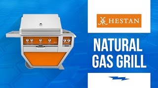 Hestan 54in Deluxe Natural Gas Grill With Double Side Burner [upl. by Senaj]