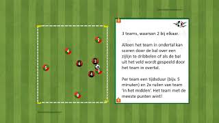 Zuidvogels video training positiespel 27 algemeen [upl. by Wilde141]