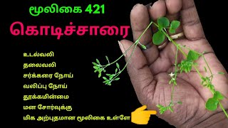 சாரைக்கொடி  கொடிசாரை  நீர் சாரைக்கொடி  kodisaarai  drymaria cordata  அலசல்  Alasal [upl. by Aihtniroc702]