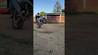 Coleman mini bike 200ccwheelies with ease🔥🔥🔥🔥💦 [upl. by Ocirred]