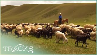 Kyrgyzstans Post Soviet Nomads Central Asia  Full Documentary [upl. by Yblok]