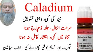 Caladium Seg explained By Doctor Muhammad Shafique [upl. by Ednyl]