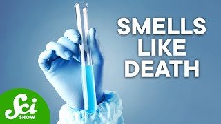 The 5 Most Dangerous Chemicals on Earth [upl. by Duj]