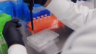 Bioanalysis using QualTrak qPCR and dPCR tools  Behind the scenes tour30s [upl. by Kristoffer]